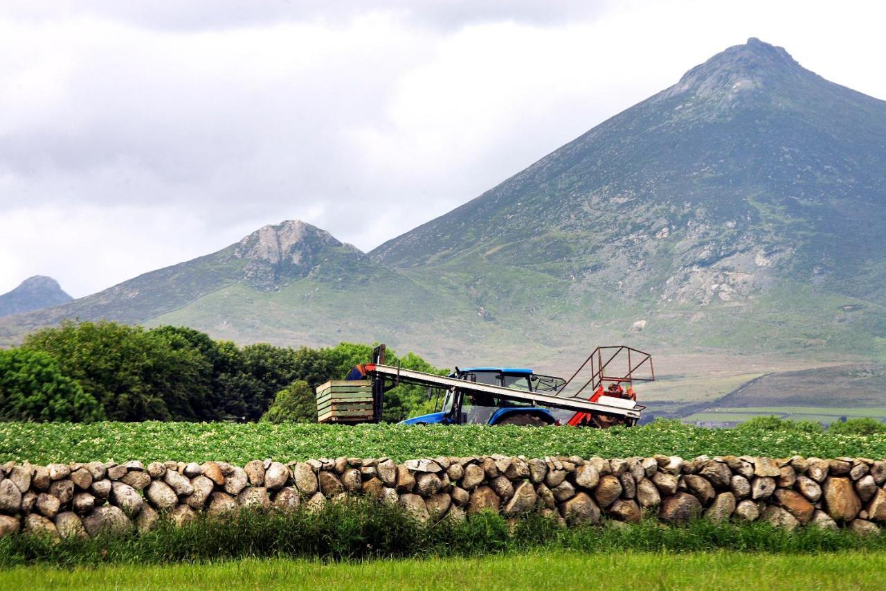 Ballykeel Farm, Mourne Mountains Ballymartin エクステリア 写真