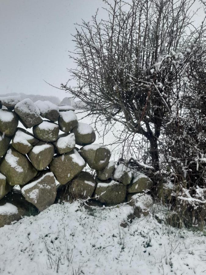 Ballykeel Farm, Mourne Mountains Ballymartin エクステリア 写真