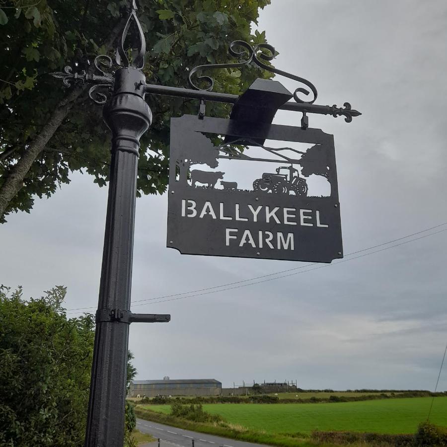 Ballykeel Farm, Mourne Mountains Ballymartin エクステリア 写真