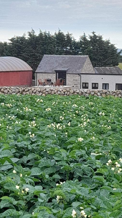Ballykeel Farm, Mourne Mountains Ballymartin エクステリア 写真